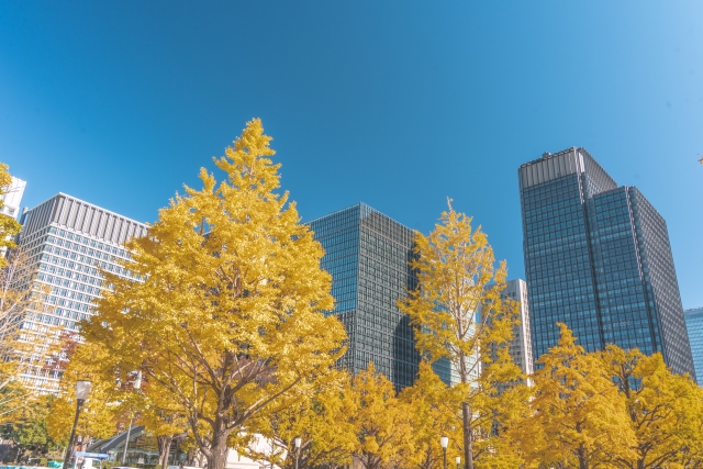 建設業
特定元方
事業開始報告書